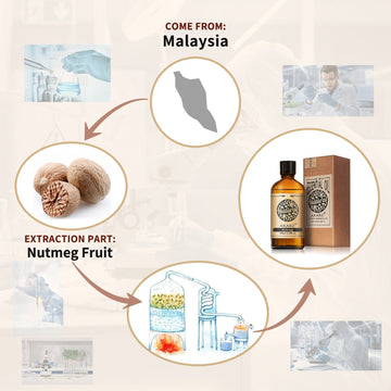 Nutmeg Essential Oil AKARZ Natural And Pure (30ML 100ML )